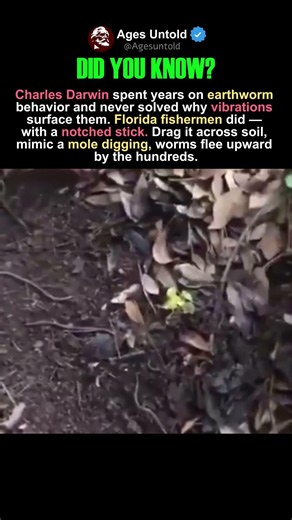 DARWIN'S UNSOLVED WORMS