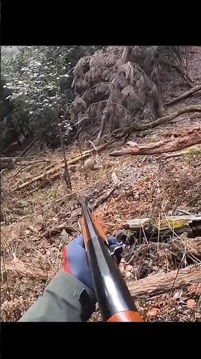 “Hunting White Tail Deer with Perfect Shot!” 🦌🔥 #hunting #deer #moose #chasse