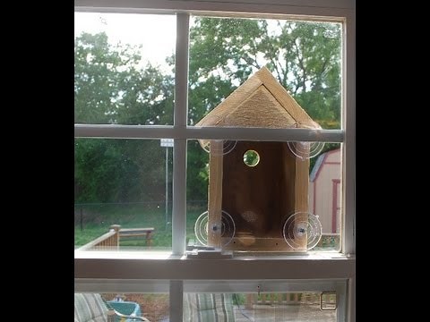 How to Make a Window Bird House - Nest box (woodlogger.com)
