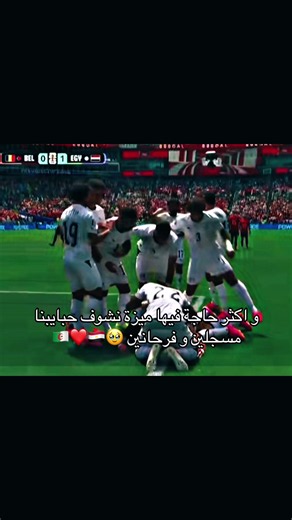 تعادل بطعم الفوز — احتفال مشجعي مصر والجزائر بكأس العالم