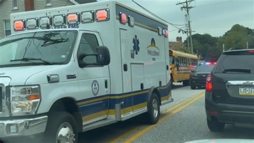 Large police presence responding to Spring Grove incident