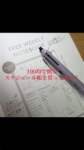 手帳の中身と100均スケジュール帳レビュー