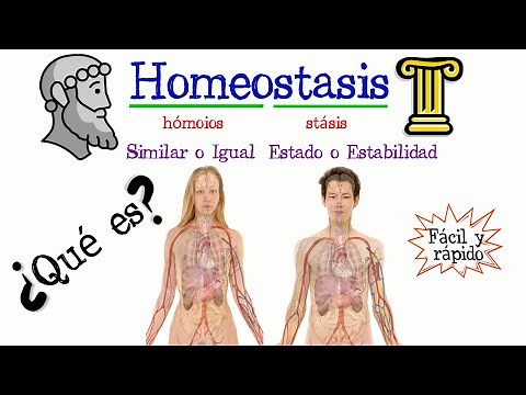 🚹 What is Homeostasis? ✅ [Easy & Fast] | BIOLOGY |