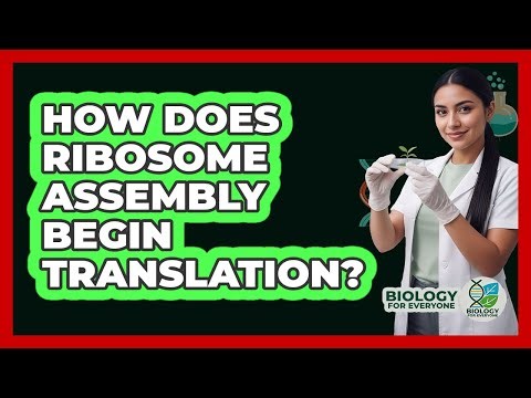 How Does Ribosome Assembly Begin Translation?