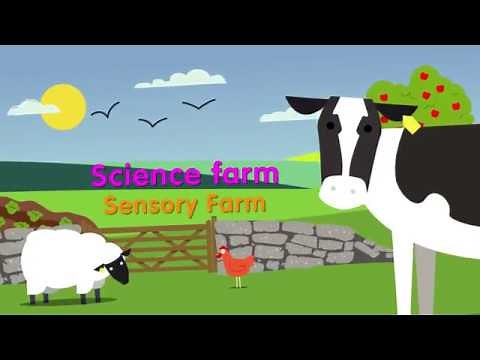 Science Farm - Sensory Farm - KS1 Senses