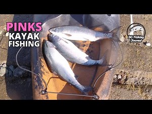 Pink Salmon Kayak Fishing with Dummy Flasher Setup