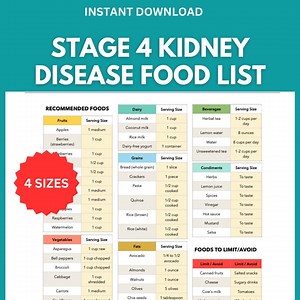 Stage 4 Kidney Disease Food List: Printable CKD Diet Guide With Kidney-friendly Foods & Renal Diet Plan - Instant Download PDF - Etsy