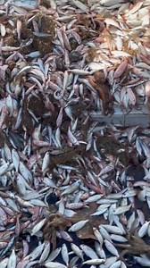 69K views · 198 reactions | 16 hours of rough seas, all this to better understand the materials | SABAI | Facebook