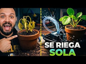 Este sistema riega tus plantas SOLO 🌱 (Arduino)