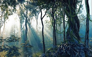 C4D中文字幕教程：利用C4D Octane和fortest插件制作森林小溪场景