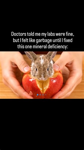 Christ is King on Instagram: "1. Standard serum tests are often useless for nutrients. Only 1% of magnesium is in the blood, so "normal" results mask deep CELLULAR EXHAUSTION. High–performers know the bottom of the range is a failure. Don't let a perfect lab report hide a real deficiency. 2. Stress is a mineral thief. High pressure forces your body to dump magnesium rapidly. Ordinary people drink more coffee, but the smart 1% replenish their SPARK PLUG MINERAL. Without it, you stay stuck in figh