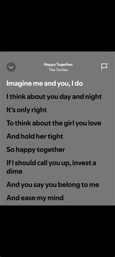 Happy Together Lyrics by The Turtles