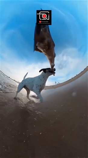 ❤️Photography tricks & hacks❤️ #shorts #viral #trending #foryou #dotframe @dgphotoholic