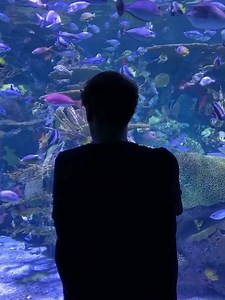 4.1K views · 276 reactions | We made one last stop to the aquarium in Myrtle Beach... It was an amazing week helping entrepreneurs from all over the country but I’m ready to get home! One last flight and we will be back in New Orleans! | DecoExchange | Facebook