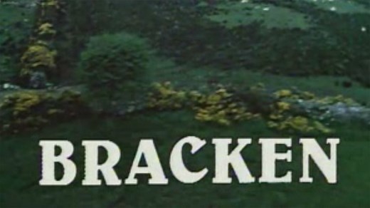 1st Episode of Bracken