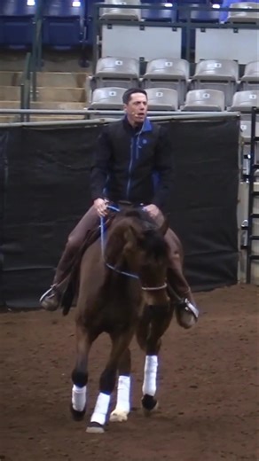 In this lesson, Jack Curtis demonstrates the technique of posting the trot, which is essential for maintaining balance and flow in the horse's movement. He explains that when posting the trot, the rider’s body moves very much in an up-and-down rhythm, with no back-and-forth motion involved. The key is to allow the body to rise and sit in perfect sync with the horse’s trot, creating a smooth, fluid movement. Jack emphasizes that posting is not about shifting the rider’s weight back and forth, but