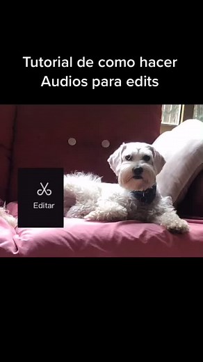 Tutorial de como hacer Audios para edits