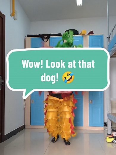 Whenever I lion dance in public, people always mix up a northern lion with a dog. Here, I will introduce northern lion dance! #liondance #asian #culture #question #learn