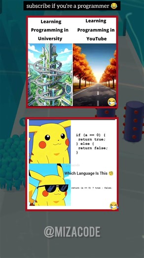 Software Developer 😱 🔥 #programming #memes #coding #ai
