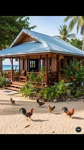 🇵🇭Roosters wander around a serene beach hut, with its simple, yet beautiful, design. The hut features a blue corrugated metal roof and woven bamboo walls, and sits right on the sand facing the crystal-clear turquoise ocean. The relaxing scene is completed with swaying coconut trees and lush greenery. #reels #Amazing #Philippines #house #nature #simpleliving | Nathaniel Guevarra Navarro
