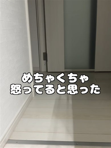 ブチギレながら接近して、勝手に離れていった。。#タイハクオウム #タイハクオウムのゆきまる