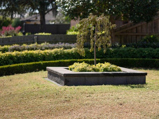 How To Dethatch Your Lawn - Bunnings Australia