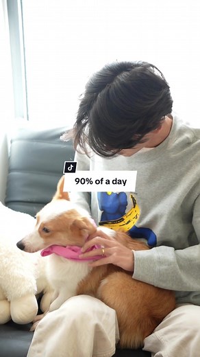 Yes 🥹 #learnontiktok