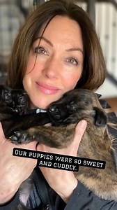 37K views · 1.1K reactions | We’ve got two Belgian Malinois and a...