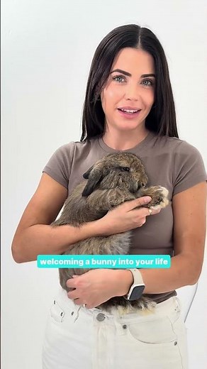 All about pet #rabbits | PET CIRCLE