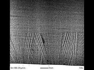 Columnar dendrites in Sn-Bi alloy (13%Bi)