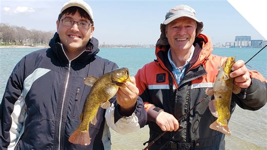 Bullhead catfish, shore fishing | Boatless angler