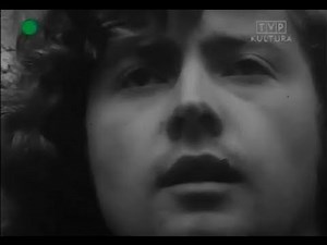 Marek Grechuta – Widzieć więcej