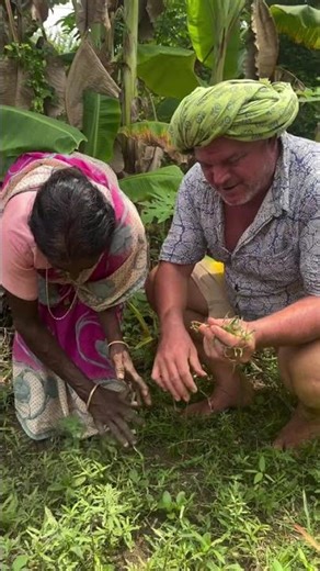 Ponnanganni keerai🌿🍀 good for eyes