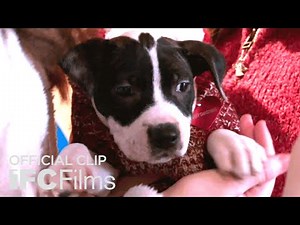 Dear Santa "Elves" Official Clip | HD | IFC Films