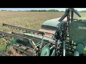 Combining Oats 2021 with 1952 Oliver 77 & 1955 Oliver 18 Combine