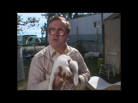 KittyLand Love Center (Trailer Park Boys)