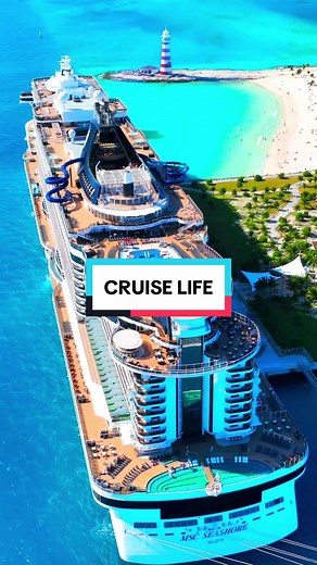 Experience the Magic of MSC Seashore | Cruise Life