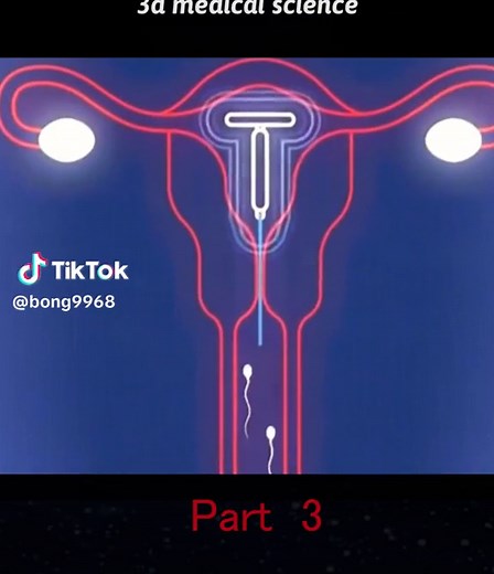 user7018049928119 on TikTok