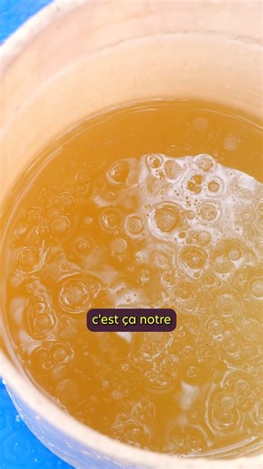 On entend parler de pesticides chimiques partout mais jamais de leurs alternatives… 🇨🇩À Kinshasa, nous soutenons le centre agroécologique Liziba qui forme les maraîchers et maraîchères à la production de biopesticides à base de plantes locales. Résultat ? 👉🏾 Plus de 1 850 litres produits chaque mois. 👉🏾 Plus de 1 200 productrices et producteurs ont déjà été formés et accompagnés sur le terrain. Impacts ? ✅ Moins de maladies, moins de coûts : les agriculteurs et agricultrices ne manipulent 