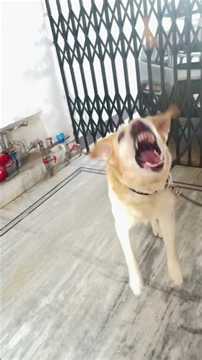 ❤️❤️❤️❤️❤️