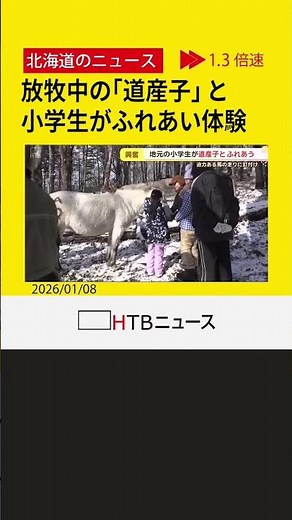 北大の研究牧場で放牧中の「道産子」と地元小学生が触れ合う ほぼ野生の状態の馬と至近距離で 新ひだか町