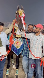Sarngkheda 2024 Campion Stallion Abhijeet 🏆 Congratulations Huned bhai #sarngkhedafestival #horse #viralreels | Trainer khanbrother
