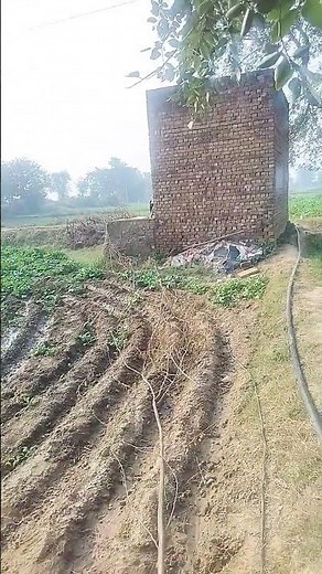 Tere pyar mein Main Mar Java