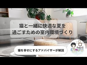 【猫の快適温度知ってる？】猫快適！カンタン室内環境づくり