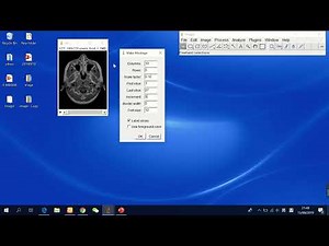 34 如何在Image J中将stack里的多张图片在同一张图片中显示