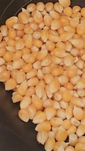 These popcorn kernels get HUGE when they pop #PopcornReview #snackhacks