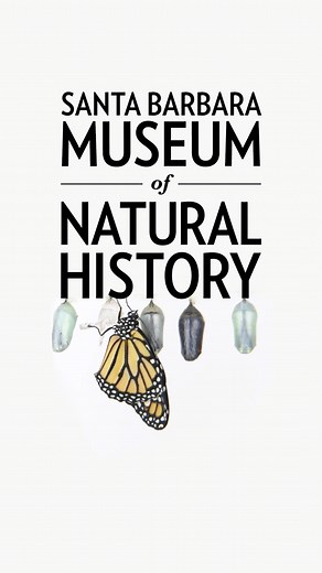 14 reactions | Walk through a beautiful, lush garden in the Sprague...