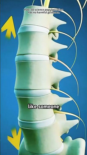 Spinal Decompression Therapy (3D Animation)