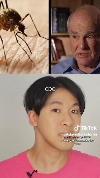 I am itchy talking about las vegas mosquitoes problem. know as the aedes aegypti mosquitoes. #aedesaegypti #mosquitoes #lasvegas