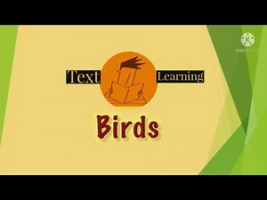 All about Birds | Feathers, Beaks & claws| class 3| |Grade 3| Science & EVS| @TextLearning